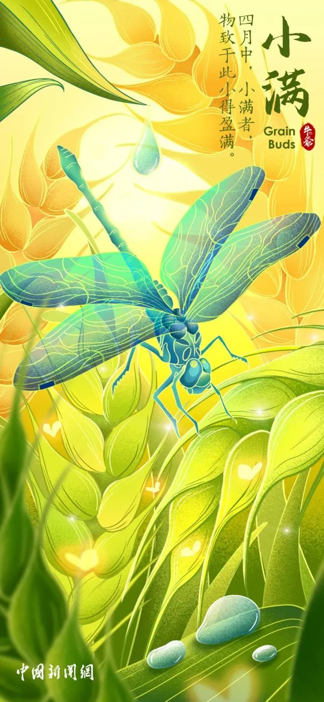 【網絡中國節·小滿】二十四節氣:今日小滿 小得盈滿