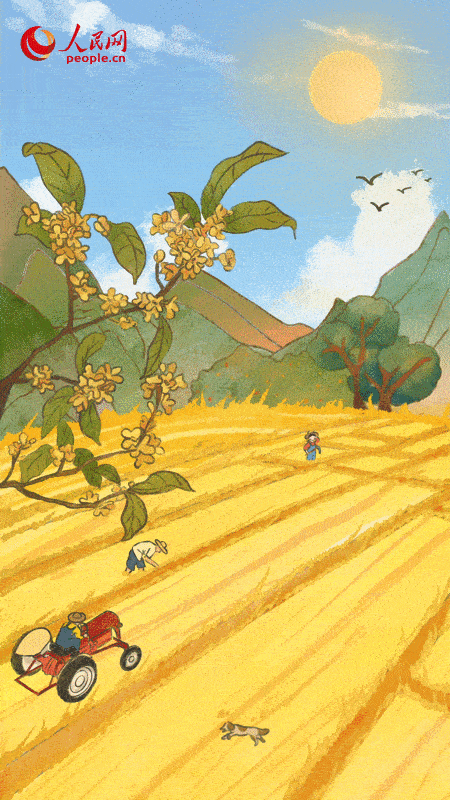 【網(wǎng)絡(luò)中國(guó)節(jié)?秋分】今日秋分，和豐收撞個(gè)滿懷~