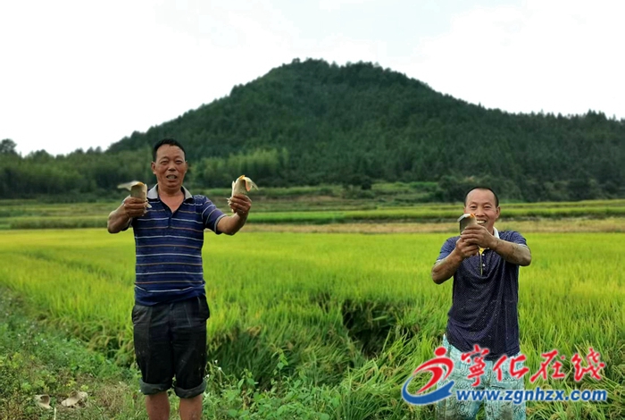 河龍鄉(xiāng):生態(tài)種養(yǎng),助民增收