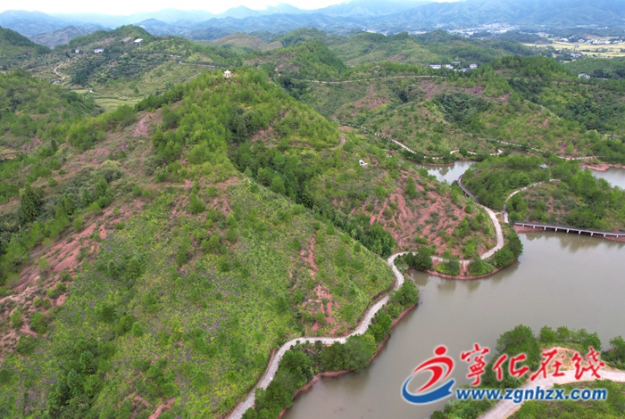 寧化:荒山變青山 油茶果飄香