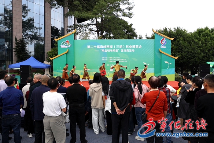 寧化縣開展第十七屆海峽論壇?第四屆海峽兩岸(三明)鄉(xiāng)村融合發(fā)展論壇主題日活動(dòng)